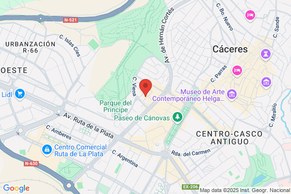 MECANICA RAPIDA TELLO
