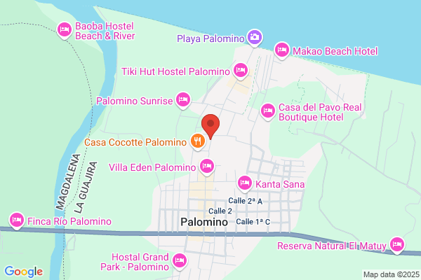 Rivera Palomino b.