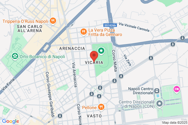 Castro Vicaria b.