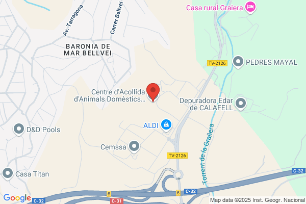 Associacio Damics Dels Animals Del Vendrell
