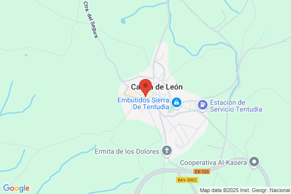 Caja De Ahorros De Extremadura