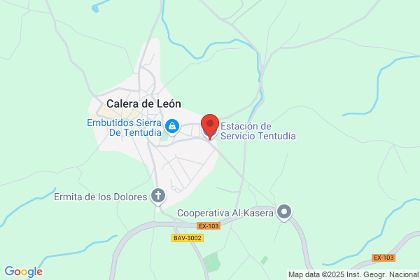Estación de Servicio Tentudía