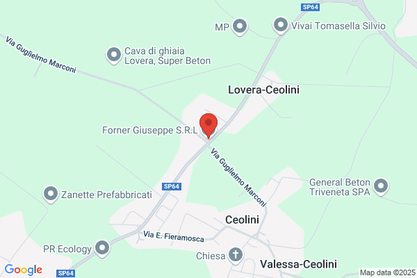 Forner Cervello e.