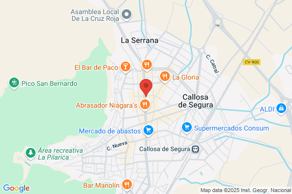Carmen Cayuelas Y Otras Cdad