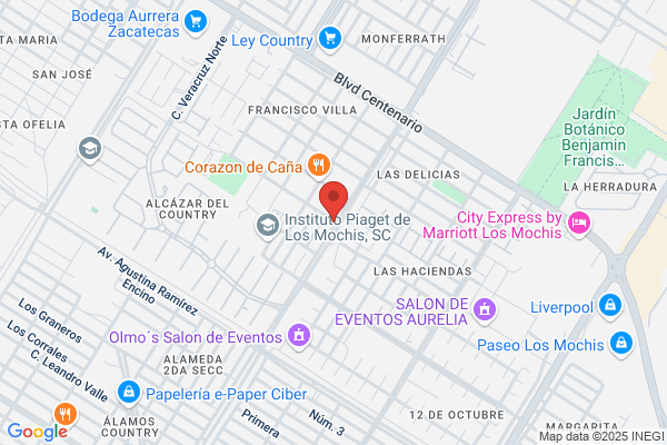 Cafeteria Burgueta