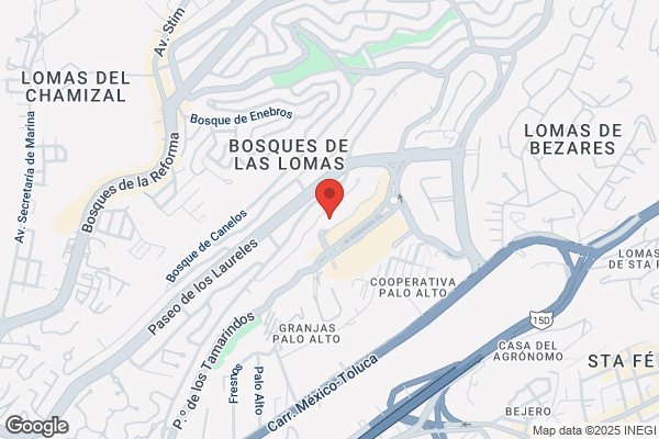 Bravo Camacho g.