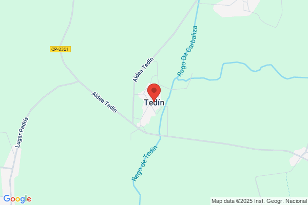 Tedin Castiñeira j.