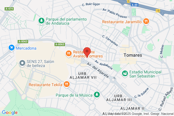 Estudio Flamenco Carmen de Torres