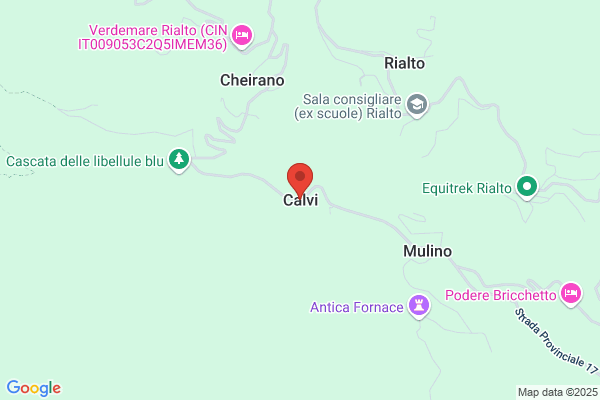 Calvi-O Moreno r.