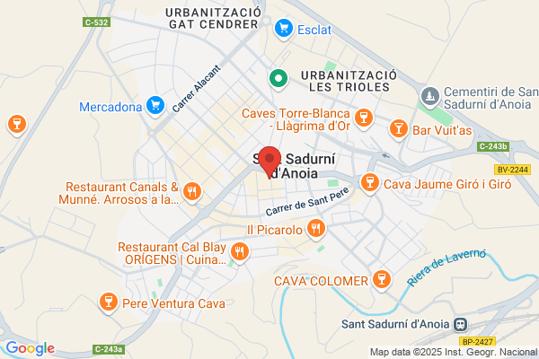 Cava Maria Rigol Ordi