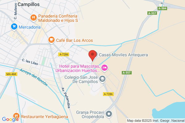 Sanchez Gallego r.
