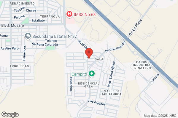 Ortiz Gala m.