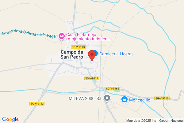 Caja De Ahorros Y Monte De Piedad De segovia