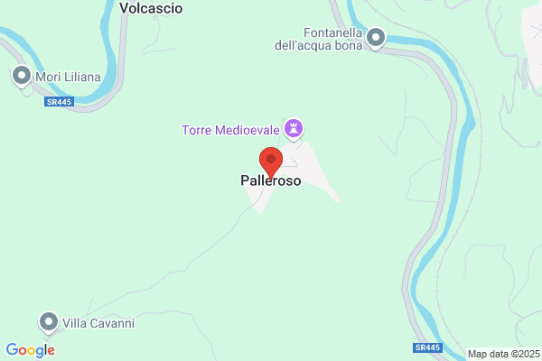 Pallero Muñoz j.