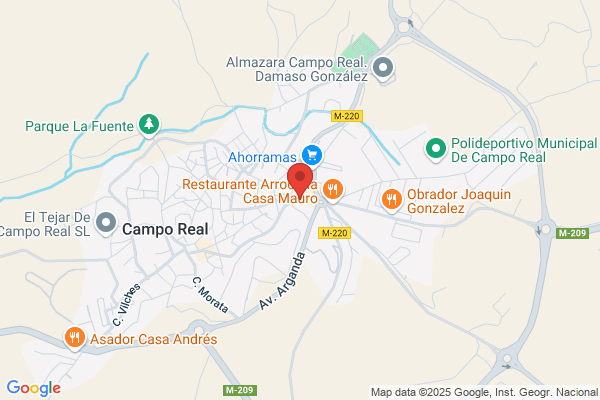 Fisioterapia Campo Real