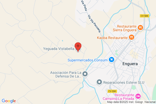 Yeguada Del Pilar S.L.