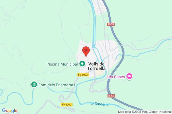 Comissio De Sanitat De Valls-Pala-Torruella-Salo I Vallmanya