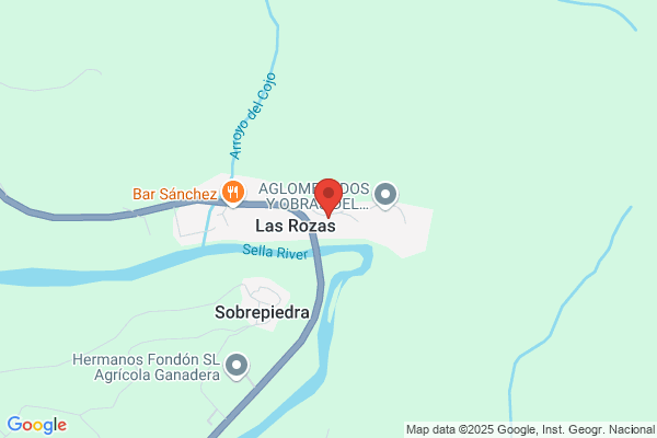 Apartamentos Camin De Pelayo