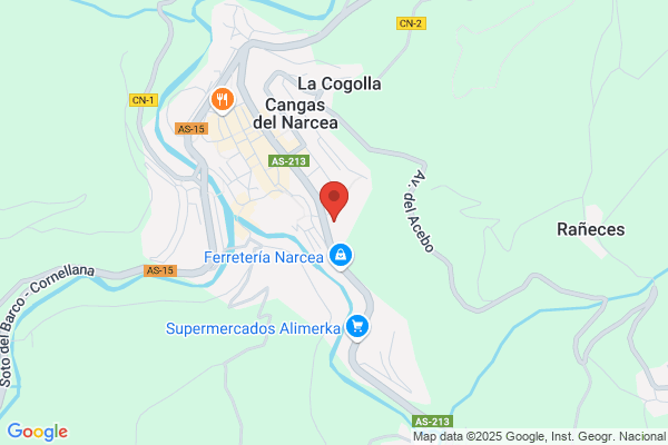 Registro auxiliar del Area de Inspeccion Sanitaria II- Cangas del Narcea