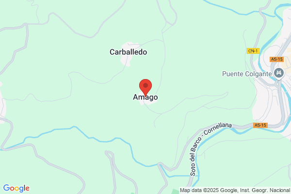 Bar Amago