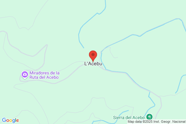 Hostal Acebo