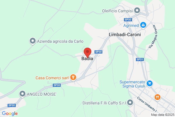 Badia Fernandez a. M.