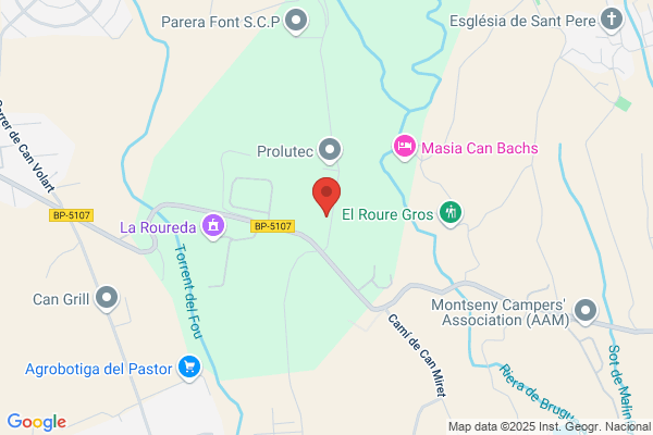 PUIG EXCAVACIONS S.L.