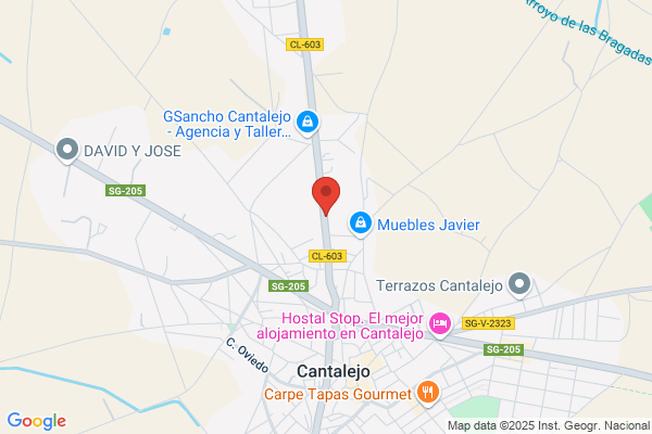 Repuestos Manisa S.L.