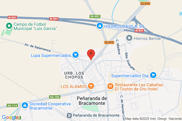 Bosch Car Service Pérez Autos