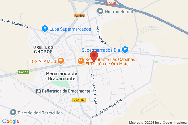 Distribuciones Manuel Perez Cdad.