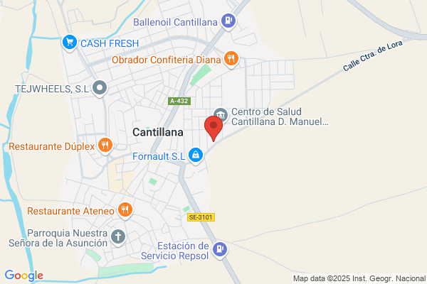 Cantillana De Neum+ticos S. L.