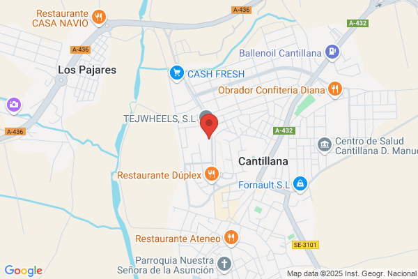 Cantillana Estudios Y Servicios Geriatricos S.L.