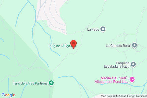 Puig I Coll S. L.