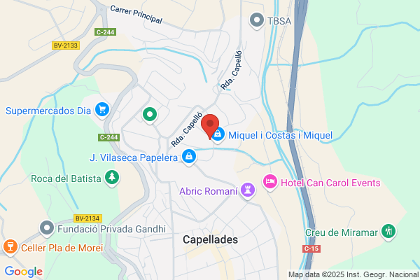 Vidals Punt S. L. - Genere De Punt