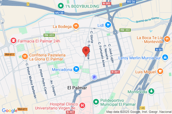 Auto-Escuela El Palmar S.L.