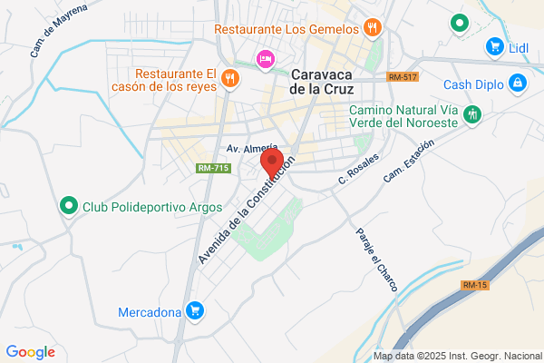 Lan 2000 Gestion Seguros S. L.