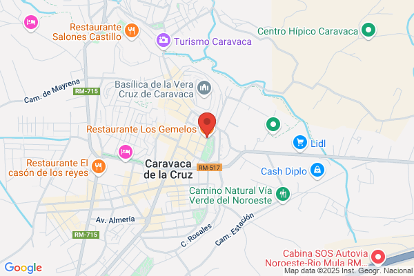 Restaurante Los Viñales