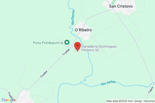 Porteiro Dominguez j. A.