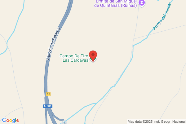 Campo Sanz d.