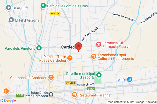 Aligue Bonvehi j.