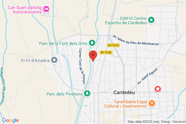 Restaurante Les Brases De Can Canies S. L.