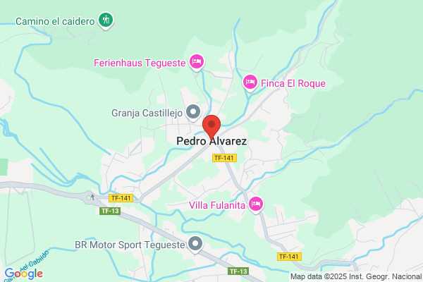 Pedro Alvarez Martinez