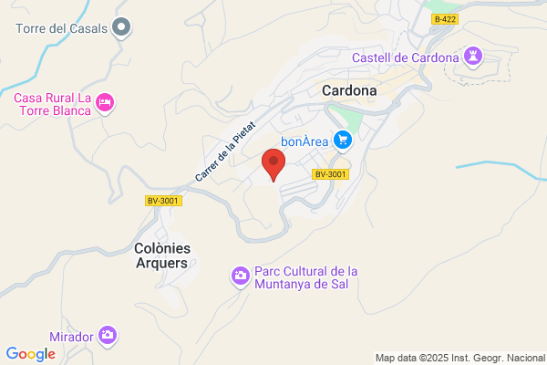Ajuntament De Cardona (Ceip Mare De Deu Del patrocini)