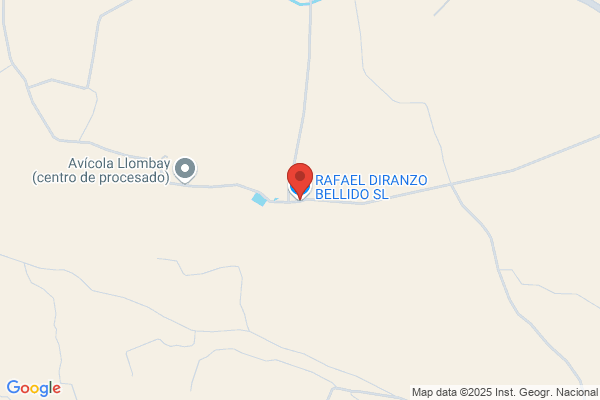 Diranzo Bellido R. S.L.
