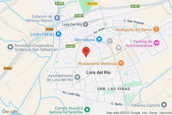 Organizacion Nacional De Ciegos