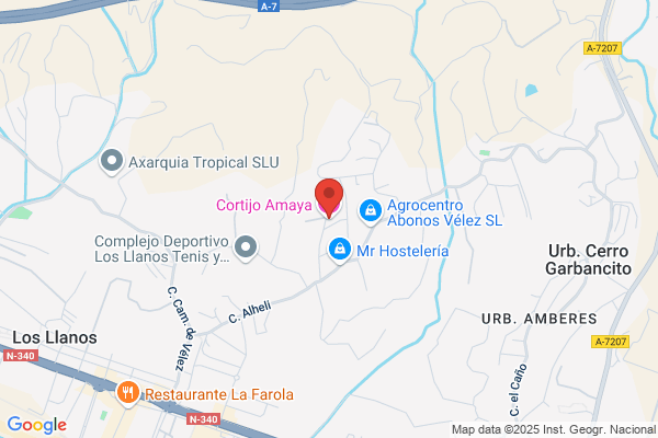 Amaya Trigo a.
