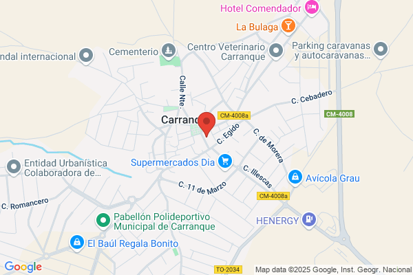 Fundacion De Bienes Culturales Castilla La Mancha-Escuela taller Carranque 2