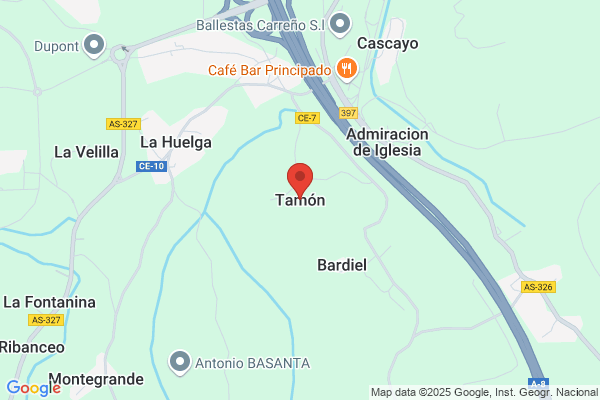 Tamon General De Servicios S.L.