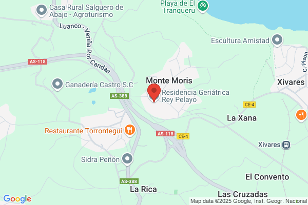Instituto Gerontologico Astur S.L.