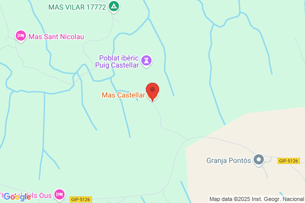 Mas Castellar